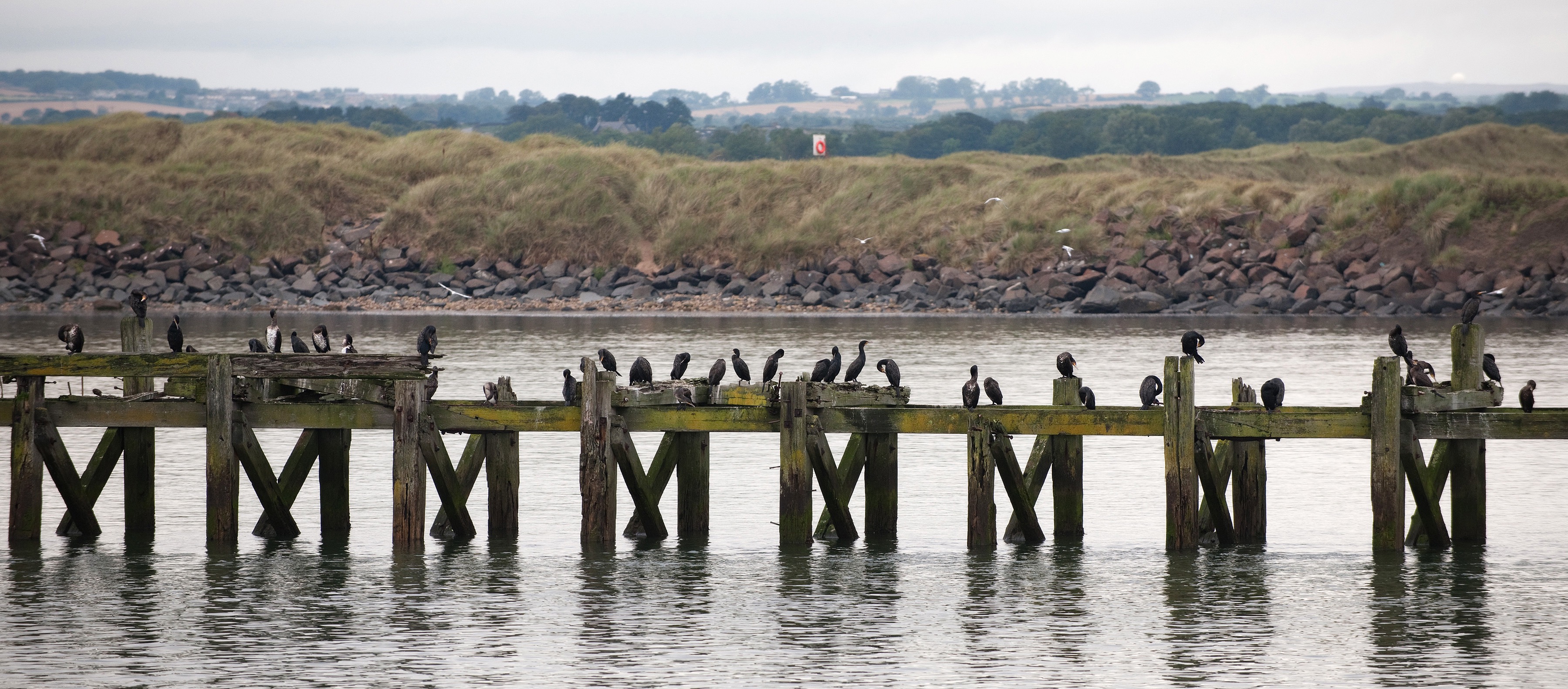 5 Important and Universal Leadership Facts