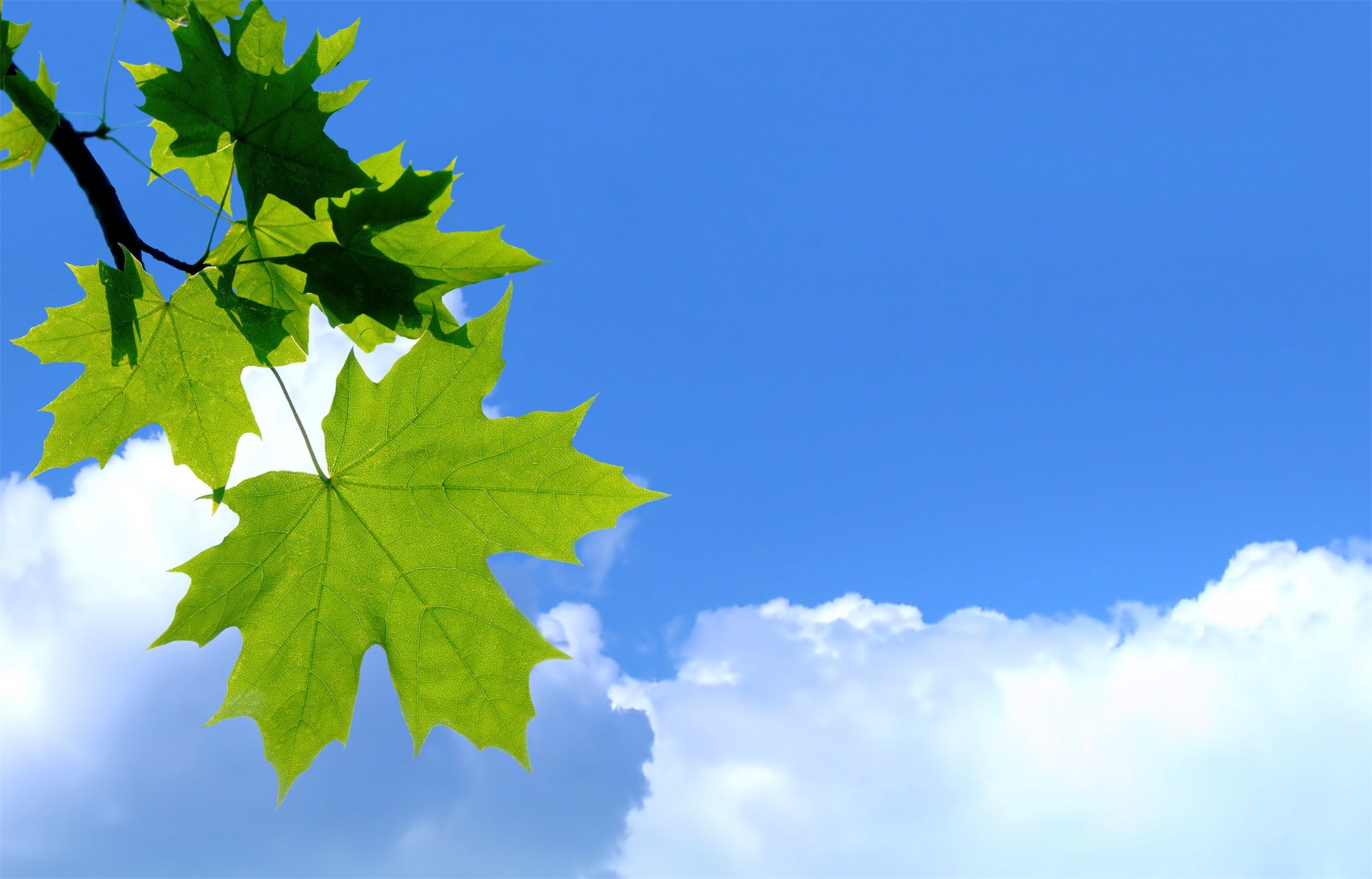 Overcoming the Obstacles of Gaining Clarity at Work