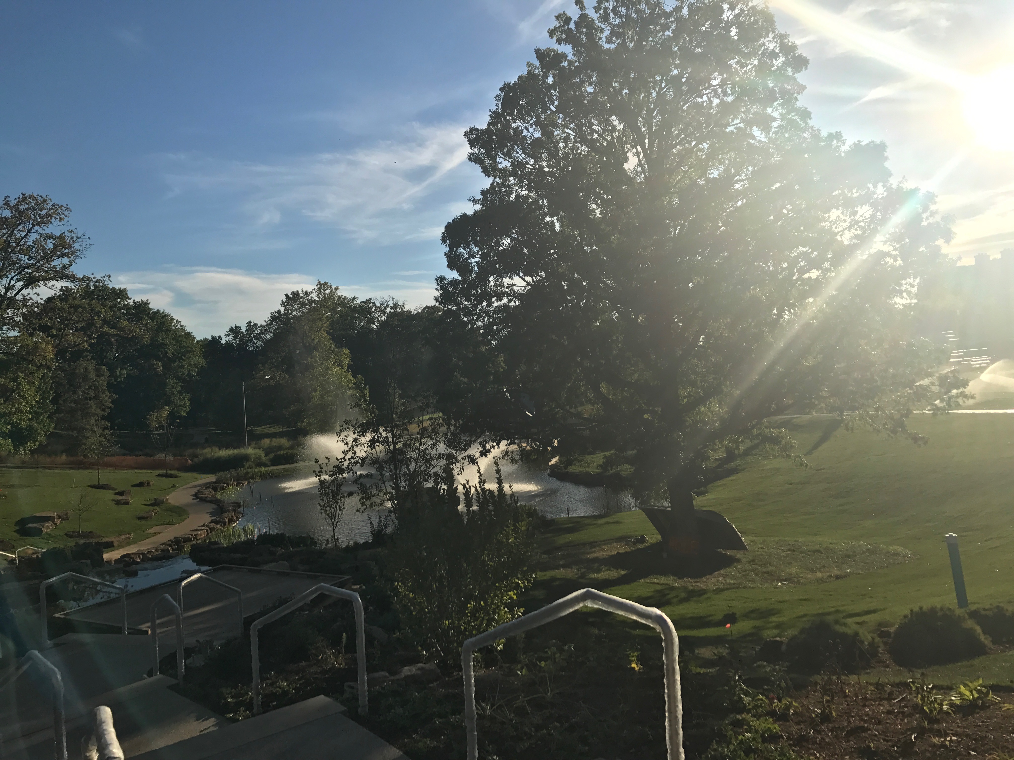 ⛅5 Ways to Nurture your Culture